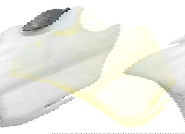 Reservatório Água C/detalhes Harley Night Rod 07-11 Original