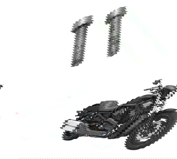 Par Parafuso Tampa Pinhão Harley Night Rod 07-11 Original