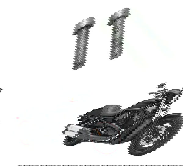 Par Parafuso Tampa Pinhão Harley Night Rod 07-11 Original