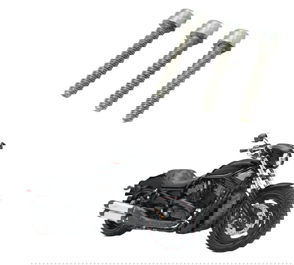 Jogo Parafuso Estator Harley Night Rod 07-11 Original
