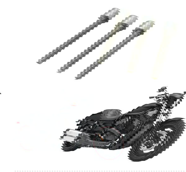 Jogo Parafuso Estator Harley Night Rod 07-11 Original