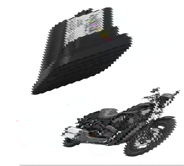 Modulo Segurança Tsm Harley Night Rod 07-11 Original