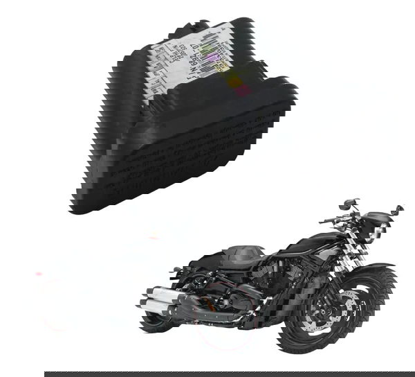 Modulo Segurança Tsm Harley Night Rod 07-11 Original