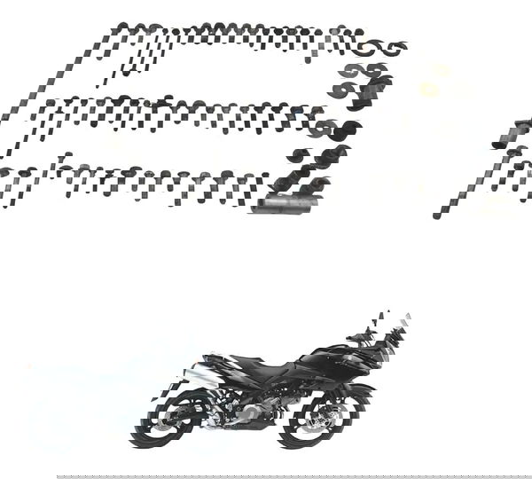 Kit Parafuso Diversos Suzuki Dl 1000 V-strom 05-11 Original