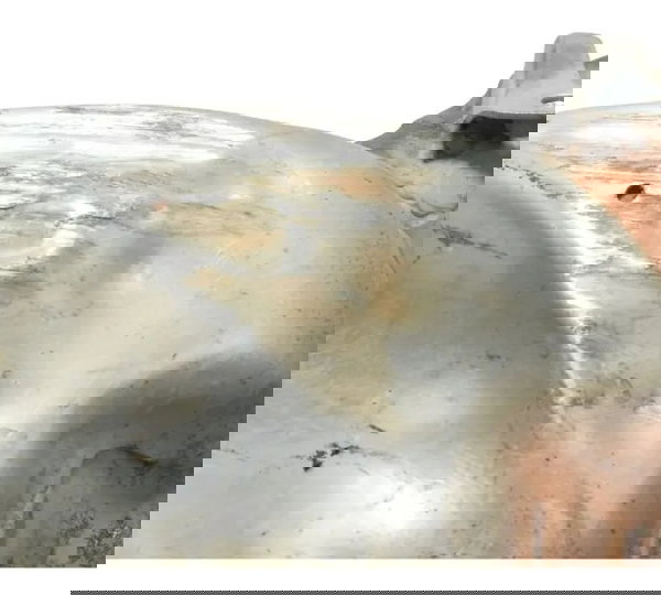 Curva Escape Catalisador C/ Det Honda Xl 700v Transalp 11-14