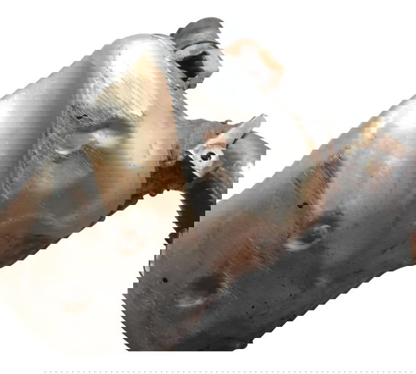 Curva Escape Catalisador C/ Det Honda Xl 700v Transalp 11-14