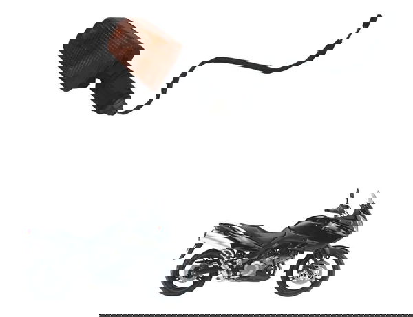 Pisca Traseiro Suzuki Dl 1000 V-strom 05-11 Original