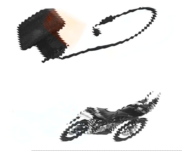 Pisca Traseiro C/detal Suzuki Dl 1000 V-strom 05-11 Original