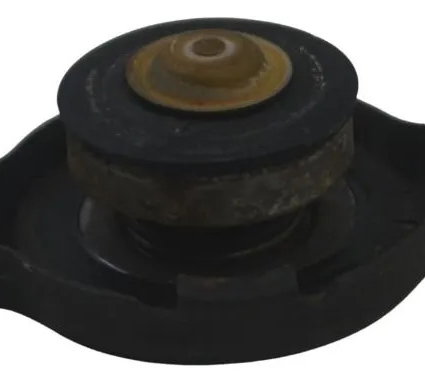 Tampa Radiador Suzuki Dl 1000 V-strom 05-11 Original