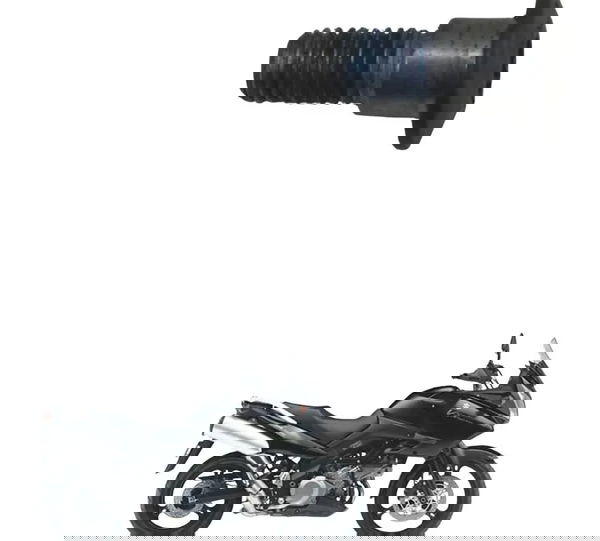 Parafuso Disco Freio Suzuki Dl 1000 V-strom 05-11 Original