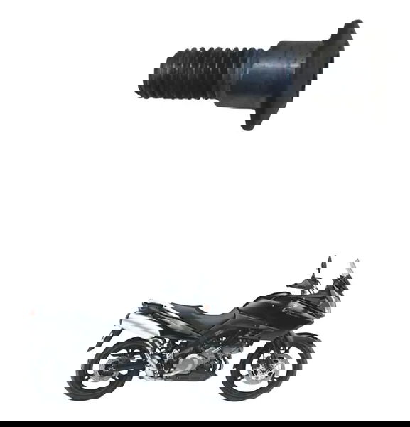 Parafuso Disco Freio Suzuki Dl 1000 V-strom 05-11 Original
