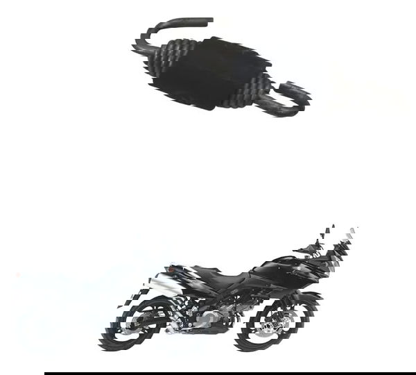 Mola Escape Suzuki Dl 1000 V-strom 05-11 Original