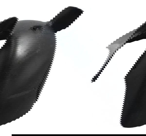 Paralama Dianteiro C/avaria Honda Xl 700v Transalp 11-14 Ori Preto