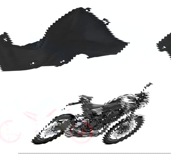 Acabamento Interno Traseiro Esq Kawasaki Z900 18-24 Original