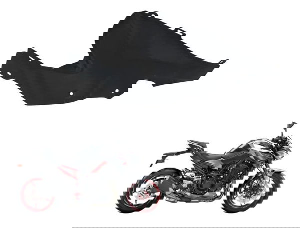 Acabamento Interno Traseiro Esq Kawasaki Z900 18-24 Original