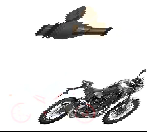 Bico Injetor Kawasaki Z900 18-24 Original