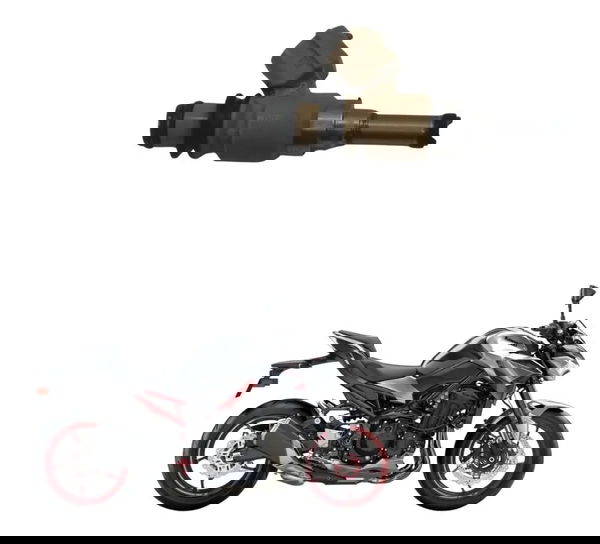 Bico Injetor Kawasaki Z900 18-24 Original