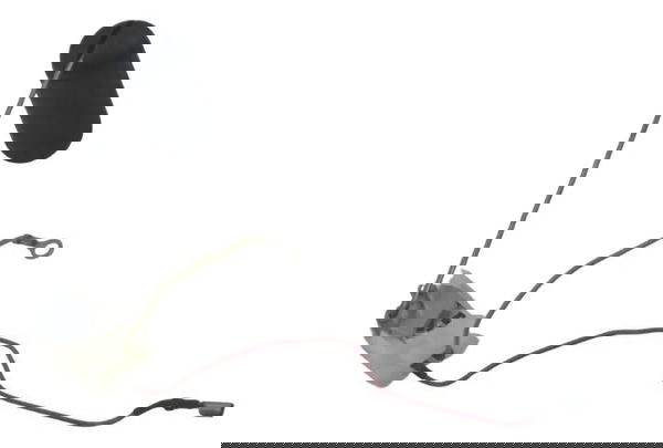 Boia Combustível Kawasaki Z900 18-24 Original