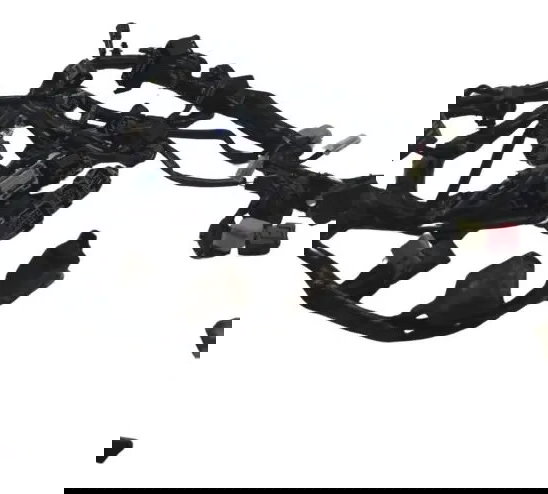 Chicote Principal C/ Avaria Kawasaki Z900 18-24 Original