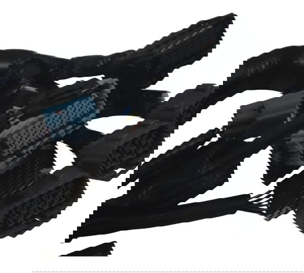 Chicote Principal C/ Avaria Kawasaki Z900 18-24 Original