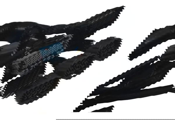 Chicote Principal C/ Avaria Kawasaki Z900 18-24 Original