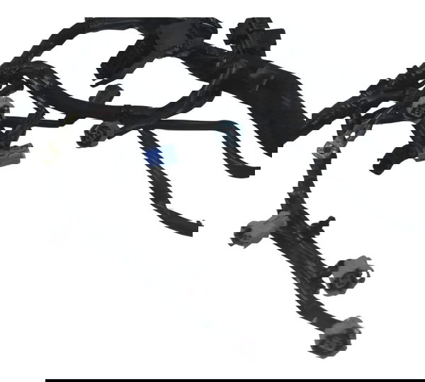 Chicote Principal C/ Avaria Kawasaki Z900 18-24 Original