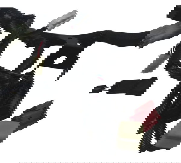 Chicote Principal C/ Avaria Kawasaki Z900 18-24 Original