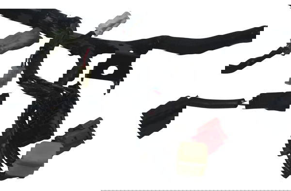 Chicote Principal C/ Avaria Kawasaki Z900 18-24 Original