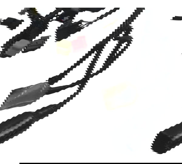 Chicote Principal C/ Avaria Kawasaki Z900 18-24 Original