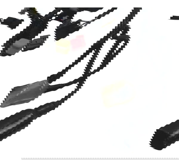 Chicote Principal C/ Avaria Kawasaki Z900 18-24 Original