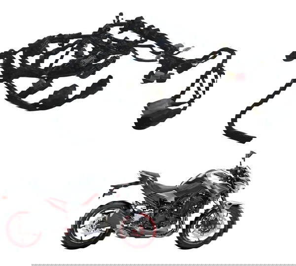 Chicote Principal C/ Avaria Kawasaki Z900 18-24 Original