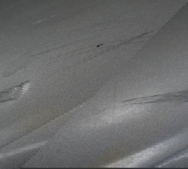 Carenagem Inferior Esq C/ Avaria Kawasaki Z900 18-24 Origina