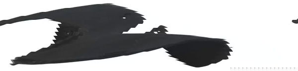 Carenagem Interna Traseira Dir Kawasaki Z900 18-24 Original