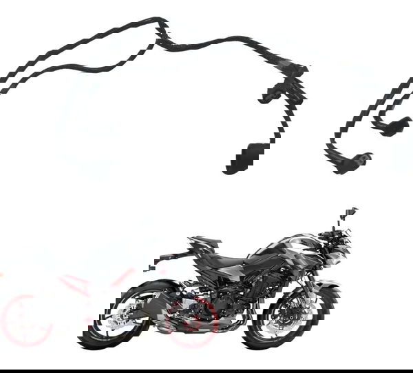 Chicote Motor Kawasaki Z900 18-24 Original