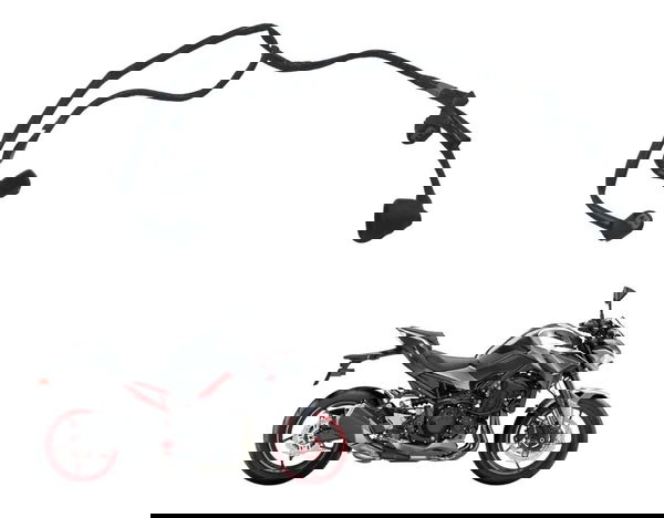 Chicote Motor Kawasaki Z900 18-24 Original