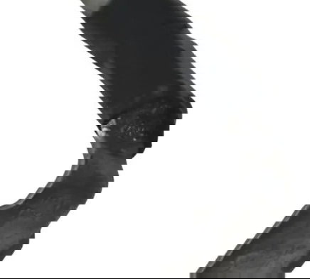 Cabo Motor Arranque Kawasaki Z900 18-24 Original