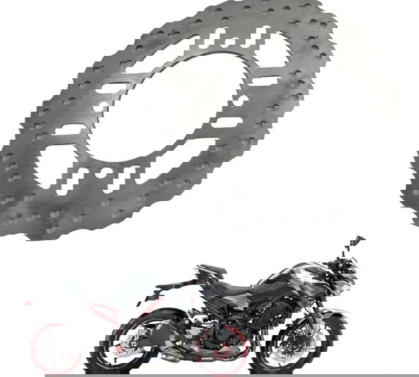 Disco Freio Traseiro Kawasaki Z900 18-24 Original