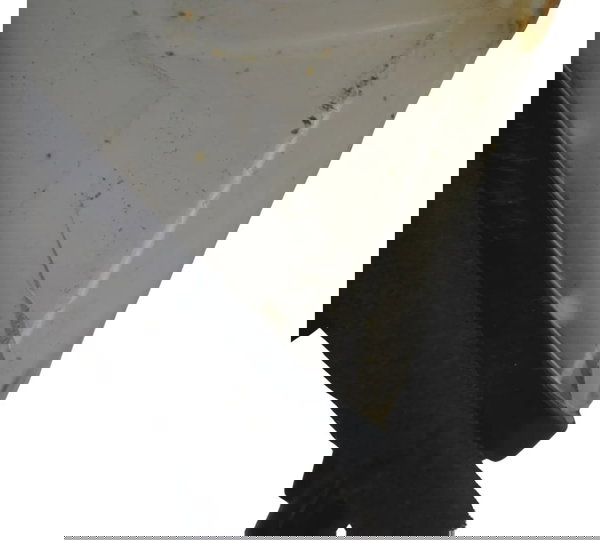 Farol Auxiliar Esq Varroc C/ Avaria Kawasaki Z900 18-24 Ambos Lados