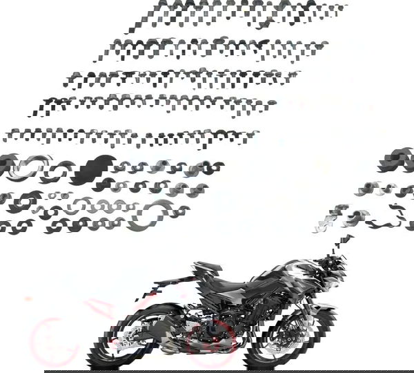 Kit Parafusos Diversos Kawasaki Z900 18-24 Original