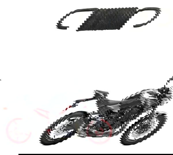 Mola Pedal Freio Kawasaki Z900 18-24 Original