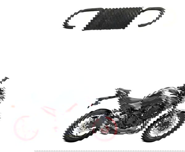 Mola Pedal Freio Kawasaki Z900 18-24 Original