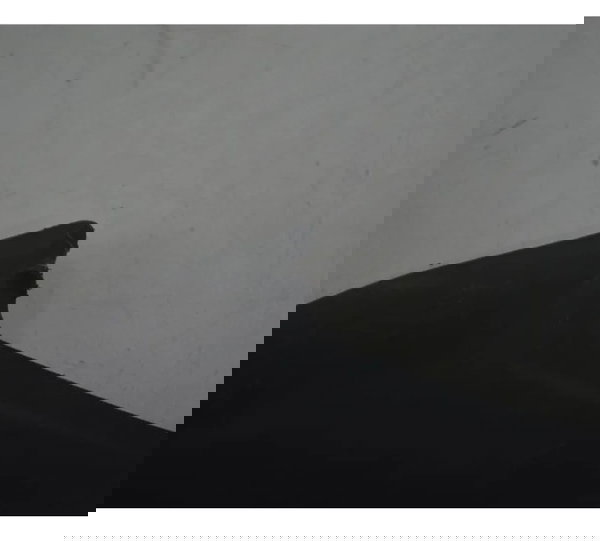 Protetor Ponteira Diant C/detal Kawasaki Z900 18-24 Original