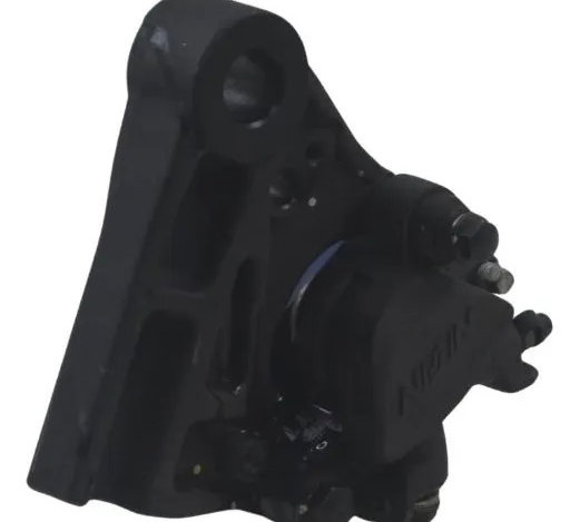 Pinça Freio Traseira Kawasaki Z900 18-24 Original