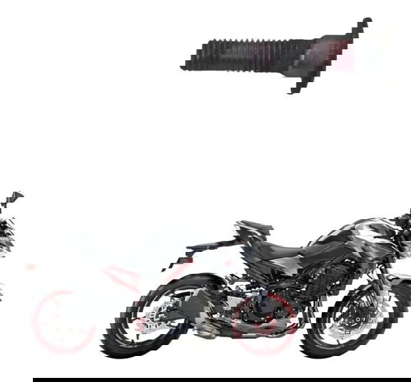 Parafuso Disco Freio Kawasaki Z900 18-24 Original