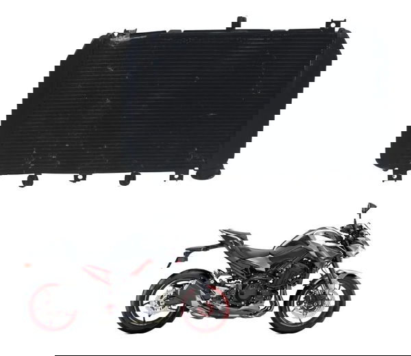 Radiador C/ Avaria Kawasaki Z900 18-24 Original