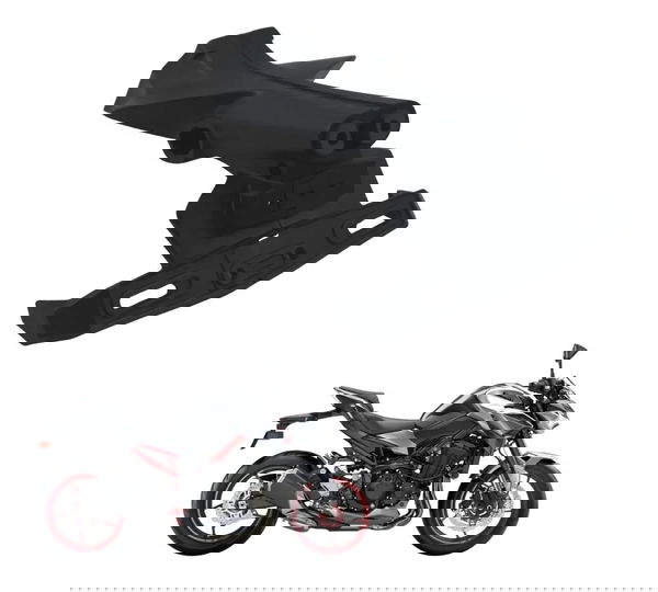 Suporte Placa Kawasaki Z900 18-24 Original