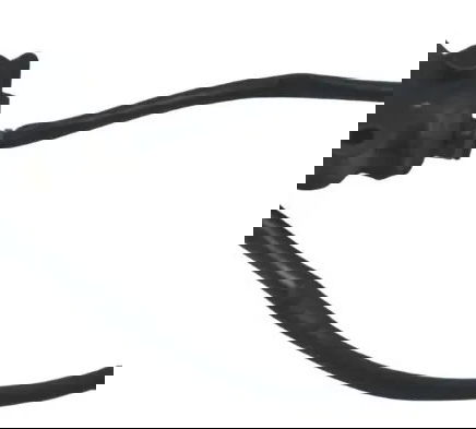 Sensor Pedal Descanso Lateral Kawasaki Z900 18-24 Original