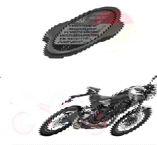 Tampa Radiador Kawasaki Z900 18-24 Original