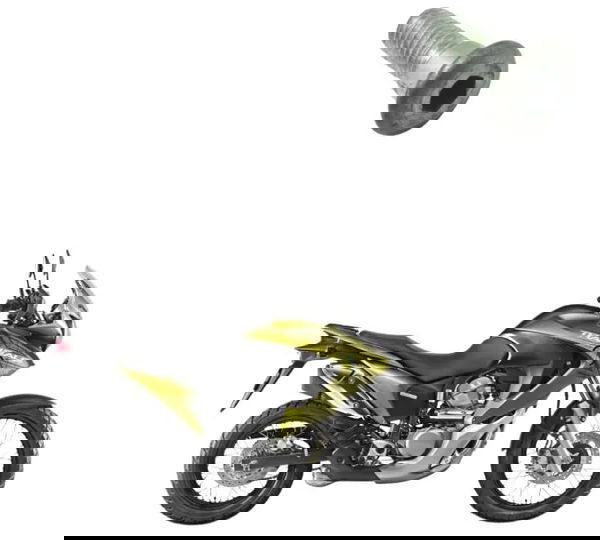 Parafuso Disco Freio Honda Xl 700v Transalp 11-14 Original