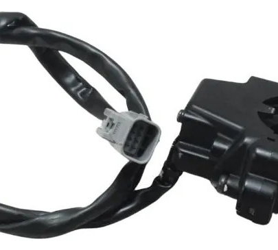 Acelerador Eletrônico Ducati Multistrada V4 21-25 Original